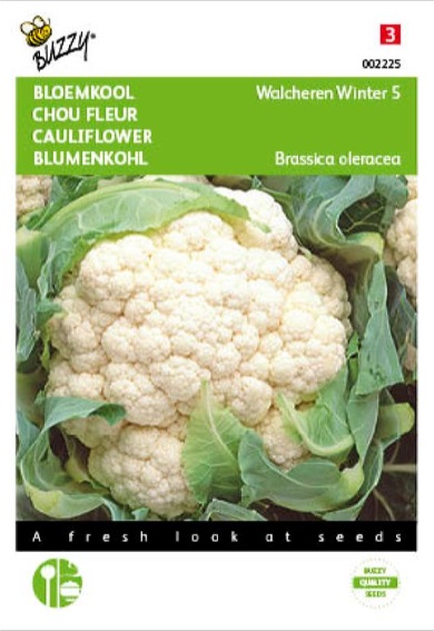 Cauliflower Walcheren Winter 5 (Brassica) 150 seeds BU